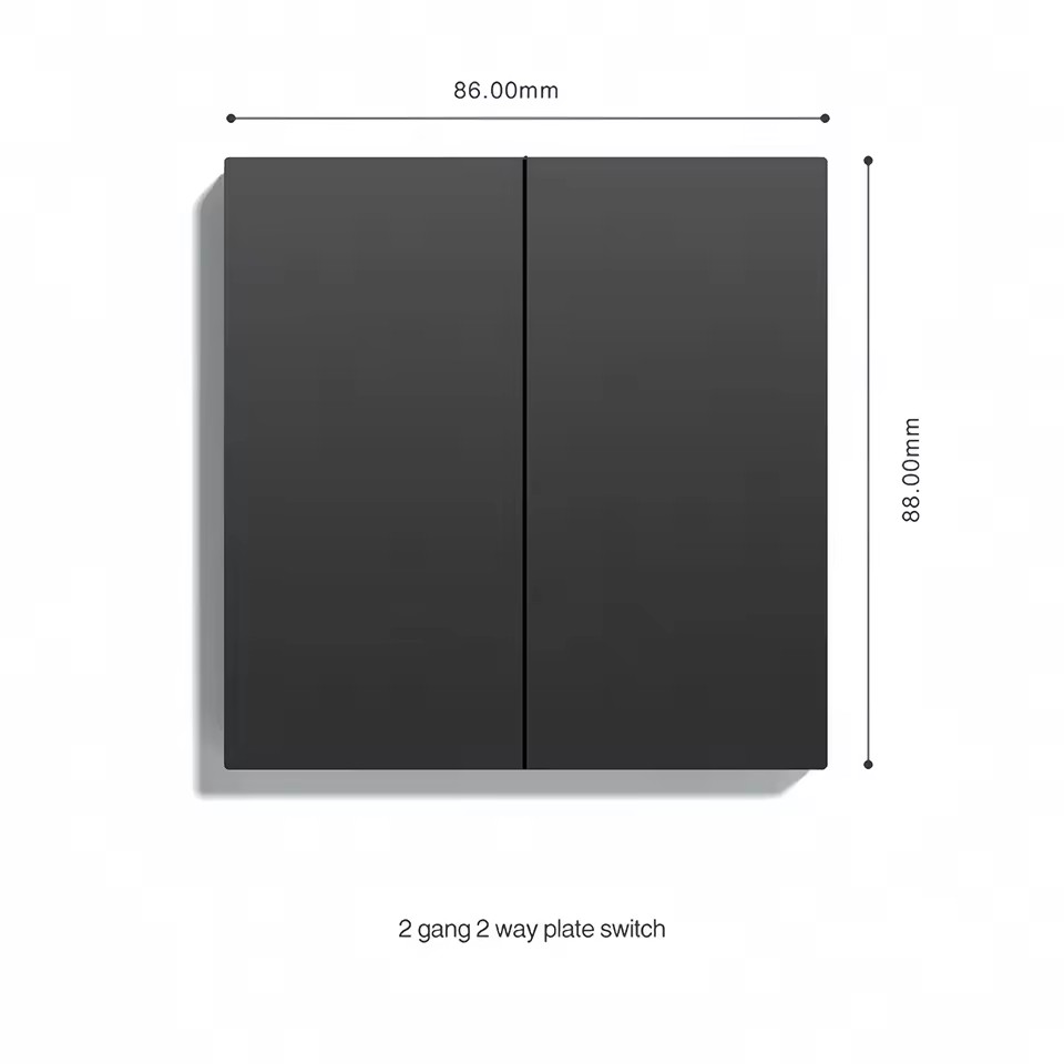Double Plate Switch