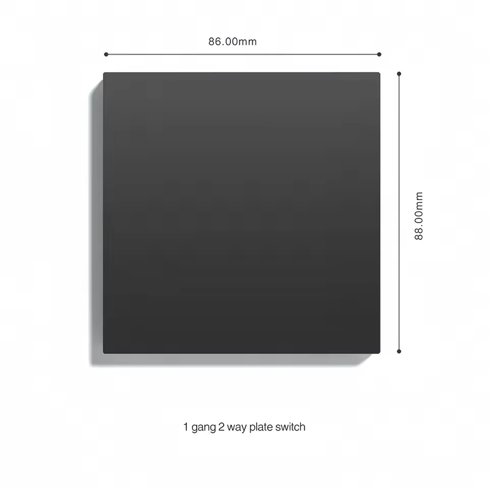 Single Plate Switch